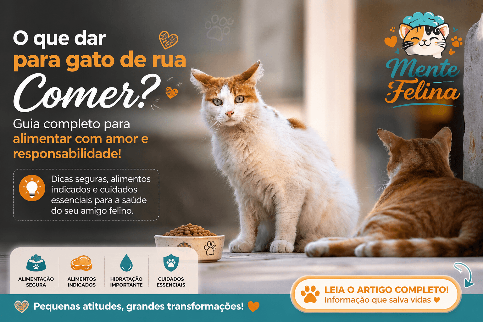 O que dar para gato de rua comer