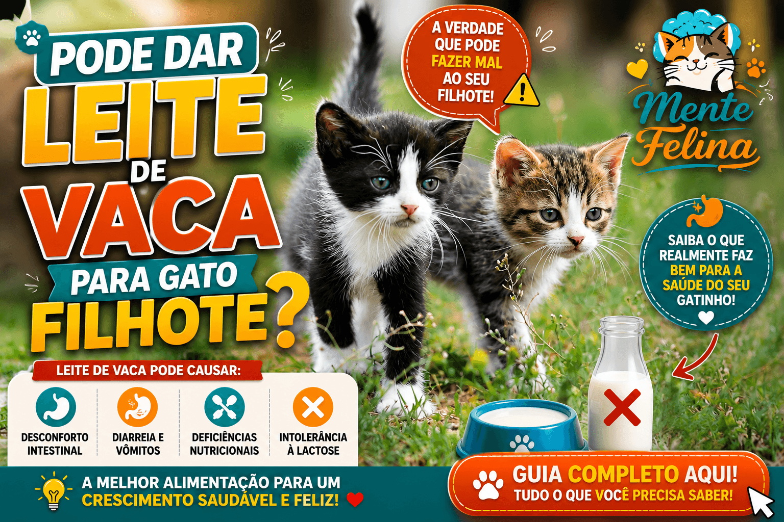 Pode dar leite de vaca para gato filhote