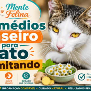 Remédios caseiro para gato vomitando: o que fazer agora para parar o mal-estar