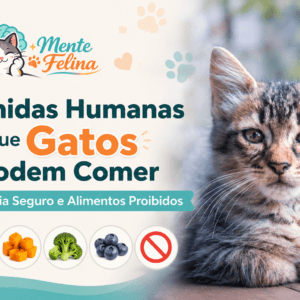Comidas Humanas que Gatos Podem Comer: Guia Seguro e Alimentos Proibidos