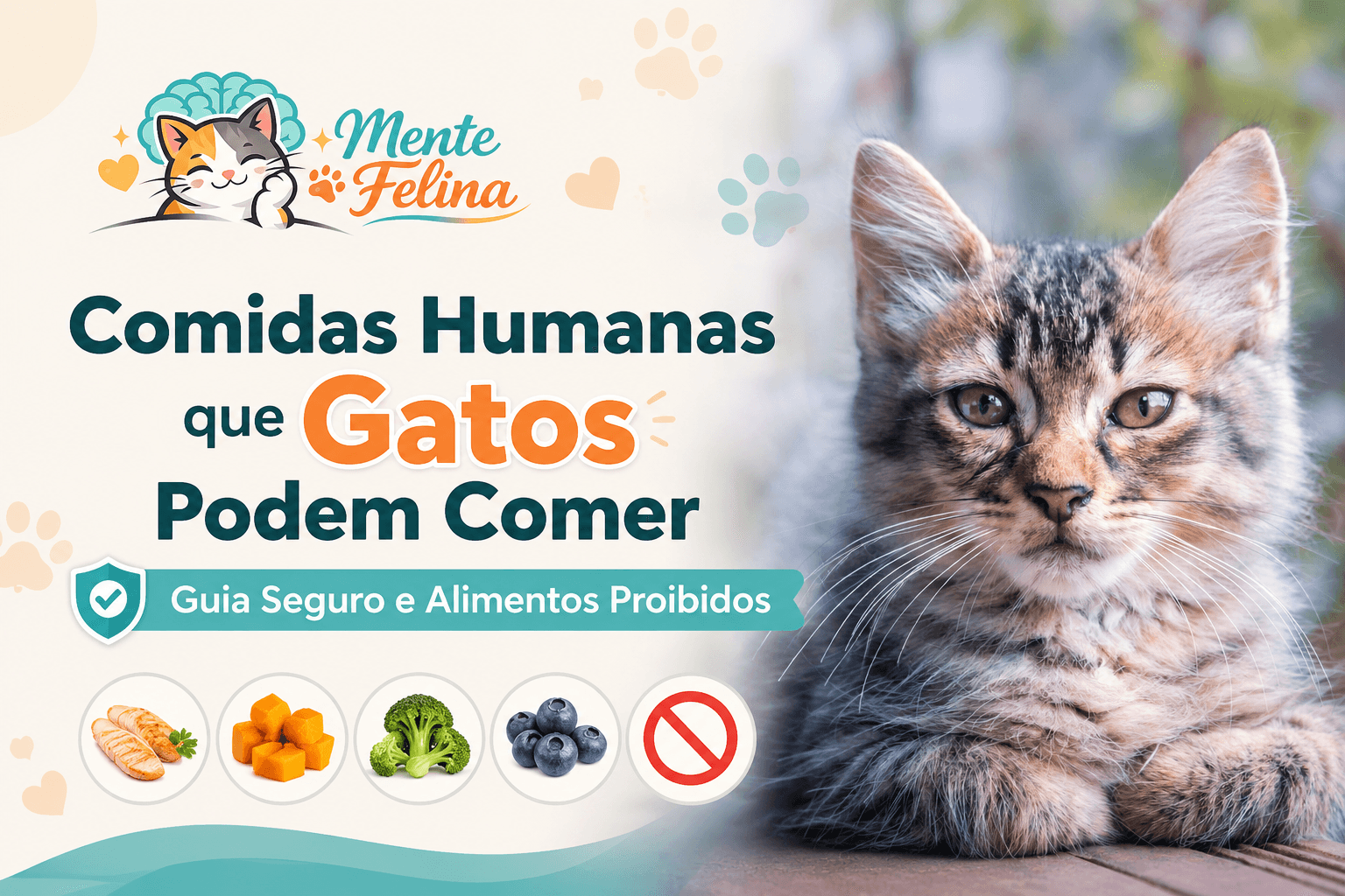 Comidas Humanas que Gatos Podem Comer