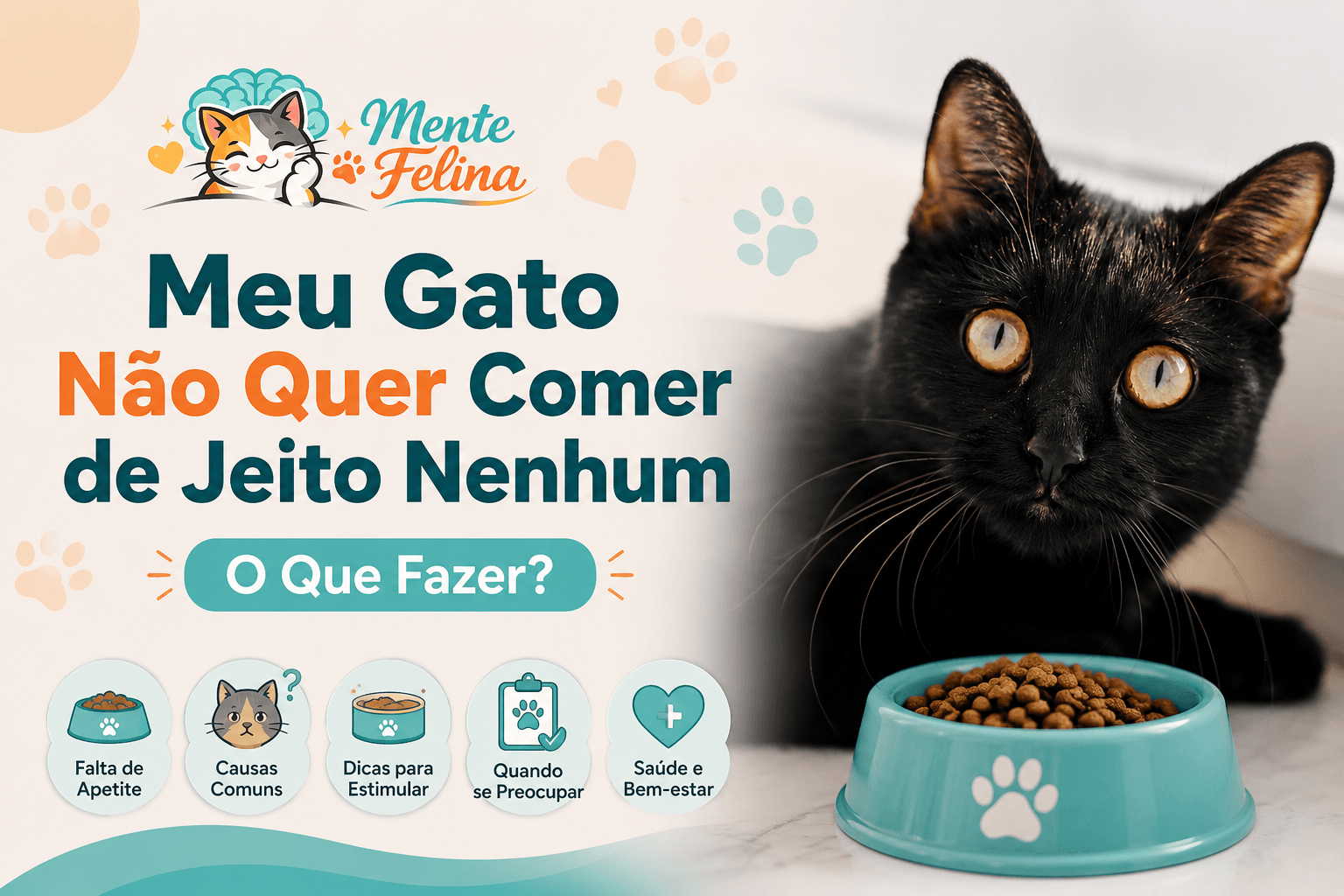 Meu Gato Não Quer Comer de Jeito Nenhum