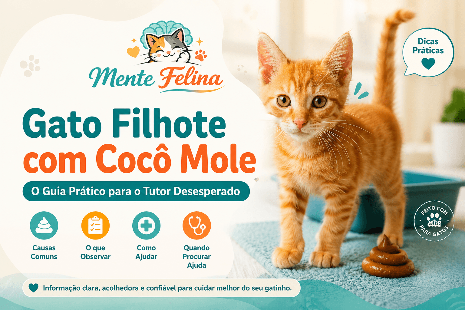 Gato Filhote com Cocô Mole