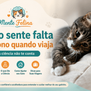 Gato sente falta do dono quando viaja? O que a ciência não te conta