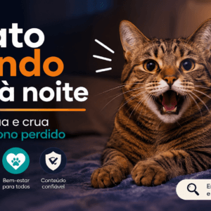 Gato miando muito à noite: A verdade nua e crua sobre o seu sono perdido