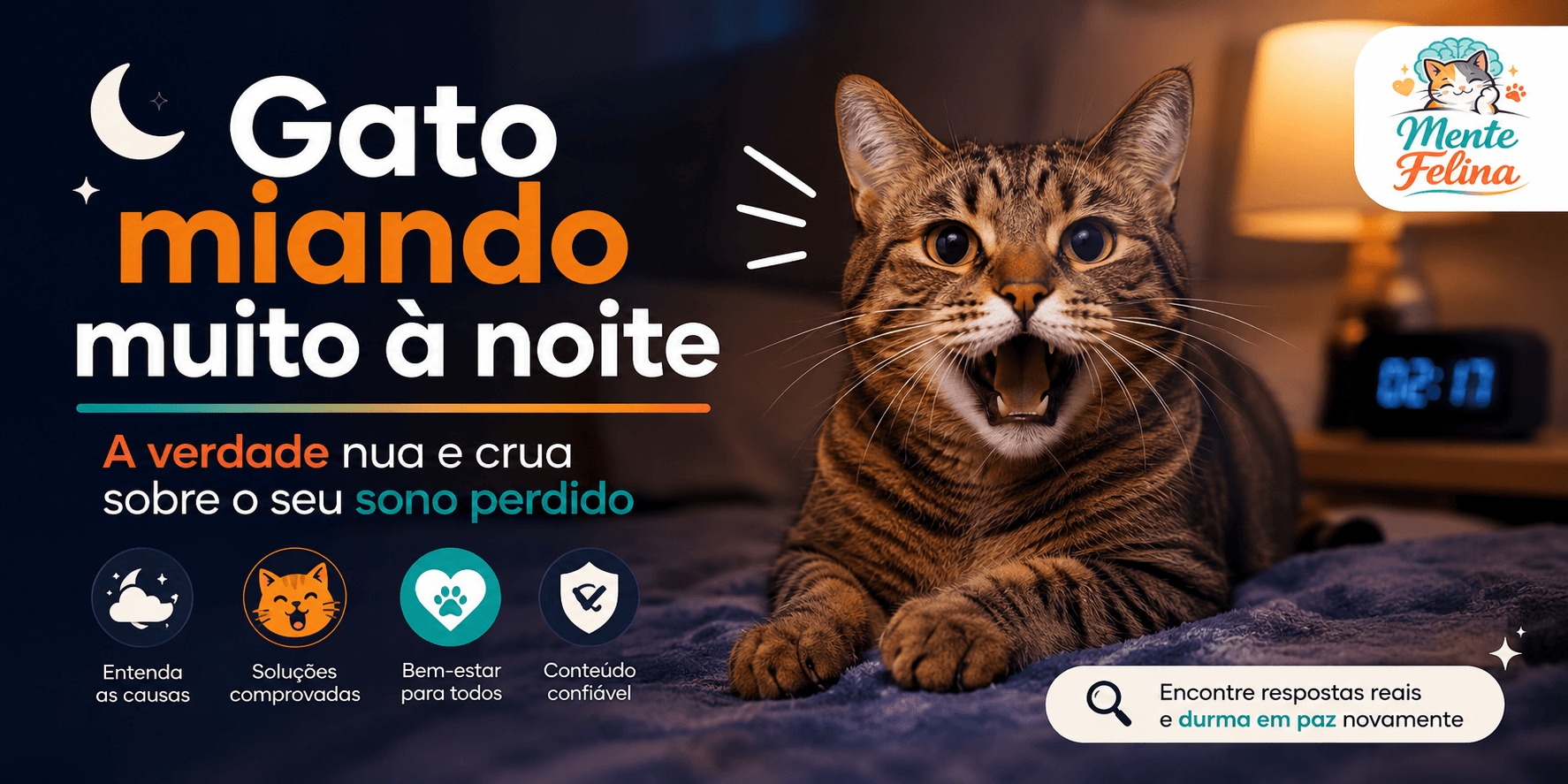 Gato miando muito à noite