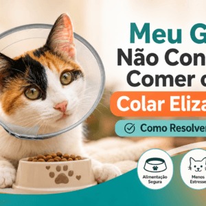 Meu Gato Não Consegue Comer com o Colar Elizabetano: Como Resolver sem Estresse