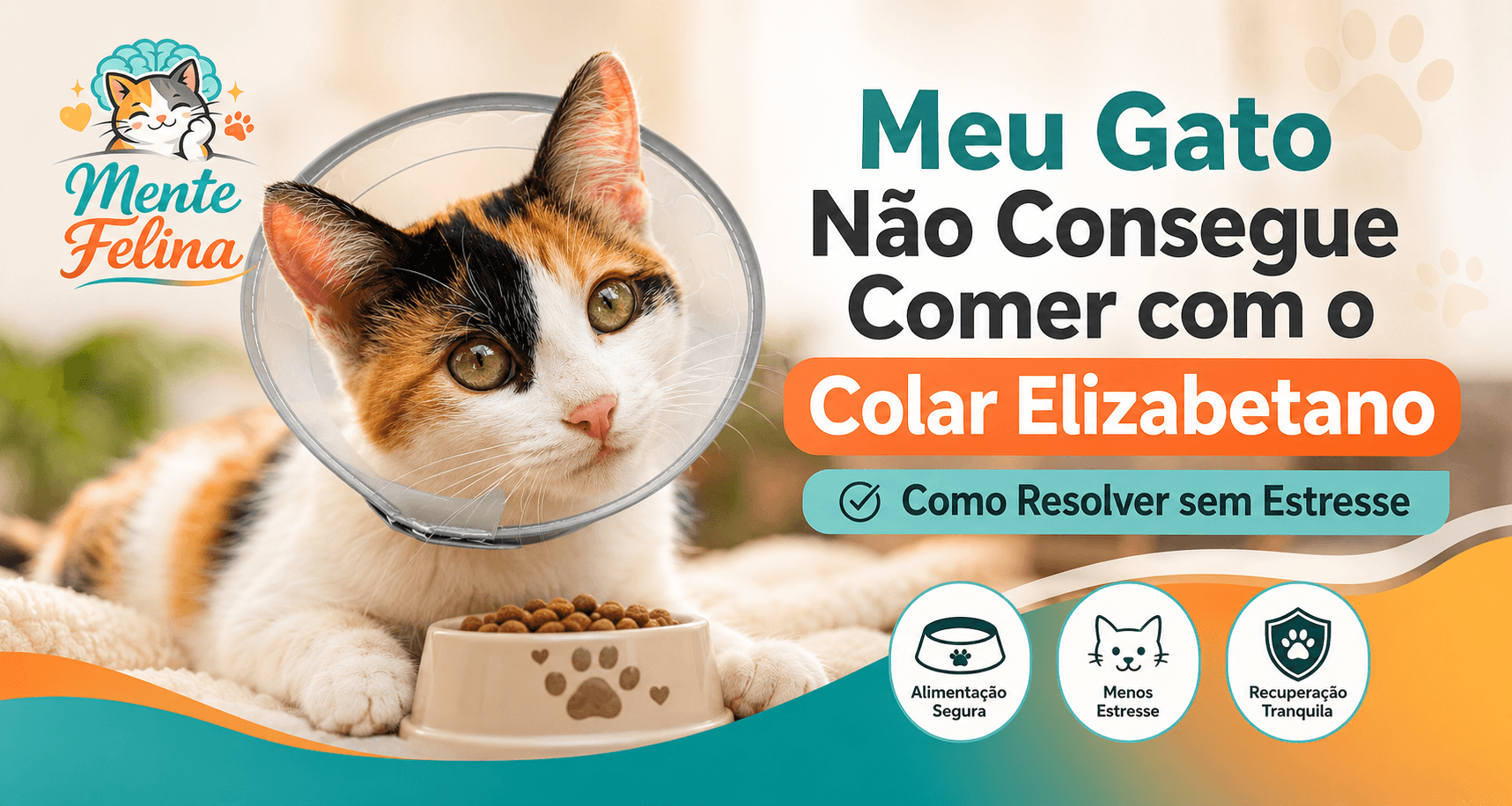 Meu Gato Não Consegue Comer com o Colar Elizabetano
