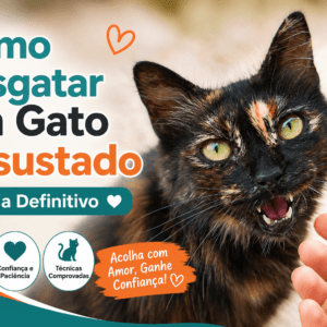O Guia Definitivo: Como Resgatar um Gato Assustado
