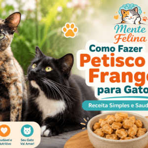 Como Fazer Petisco de Frango para Gato: Receita Simples e Saudável