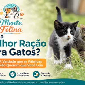 Qual a Melhor Ração para Gatos? A Verdade que as Fábricas Não Querem que Você Leia