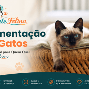 Alimentação de Gatos: O Manual para Quem Quer Sair do Óbvio