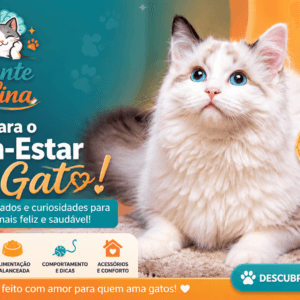 O Guia Definitivo da Alimentação Felina: O Que Seu Gato Pode (e Nunca Deve) Comer